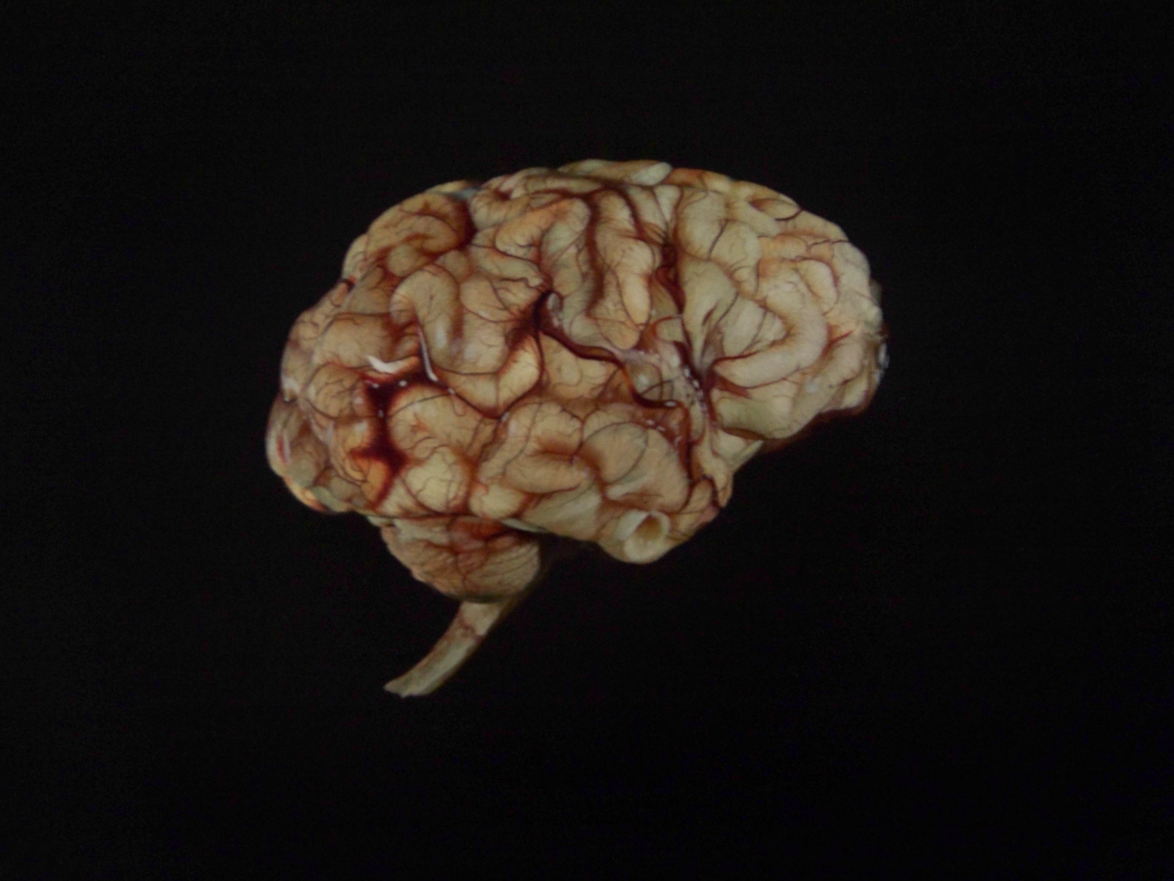 Untitled, 2005 to 2008, Silk on Silk Hand embroidered 38cm X 98cm - Silk on Silk by Tom Bell