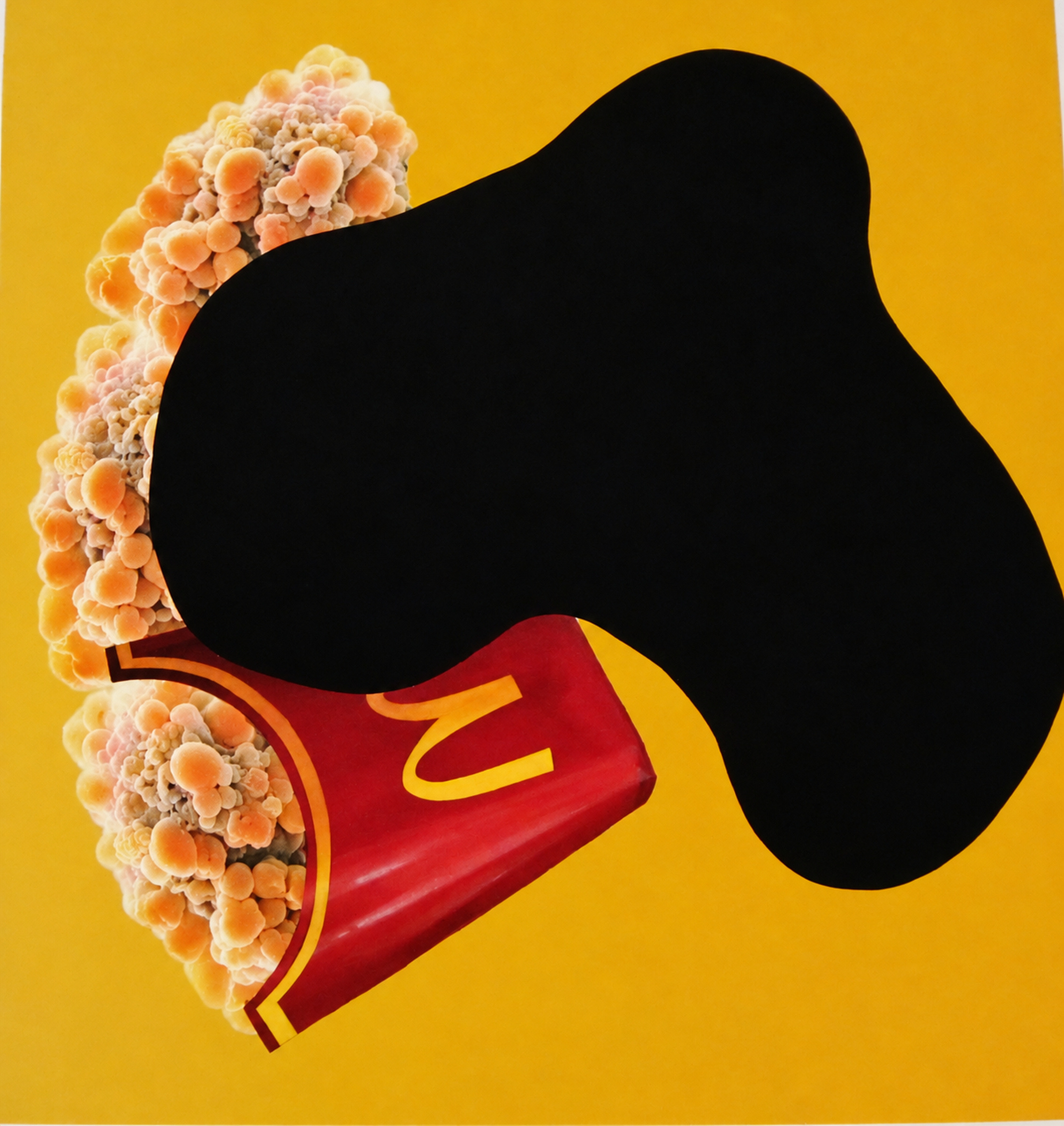 Untitled, 2012, Print and Acrylic Paint, Paper Size 45x45cm, Edition of 2 - Works on Paper by Tom Bell