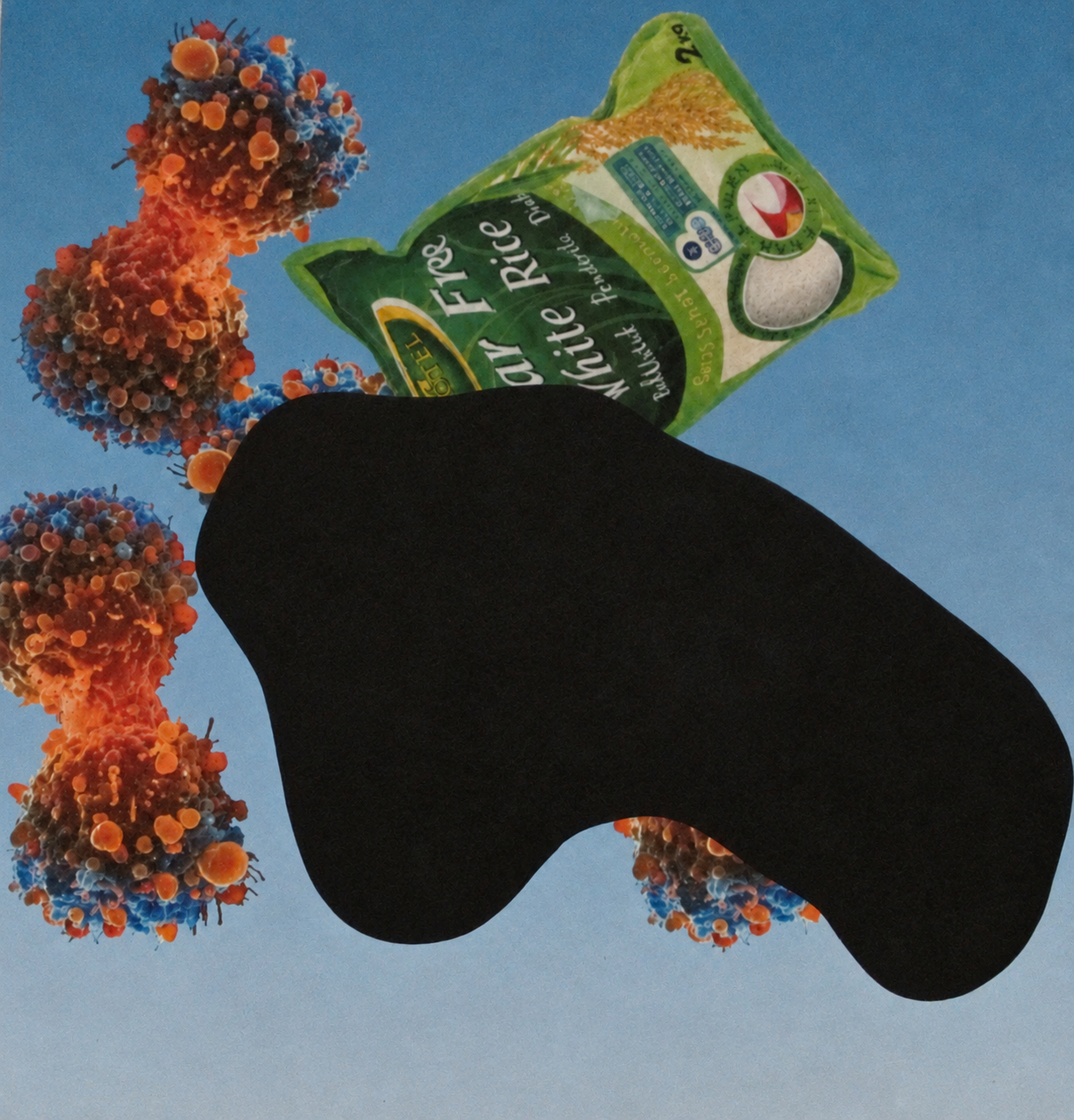 Untitled, 2012, Print and Acrylic Paint, Paper Size 45x45cm, Edition of 2 - Works on Paper by Tom Bell